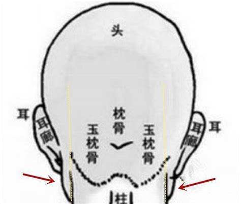 枕骨突出面相|面相头骨相学：曾国藩论看头骨